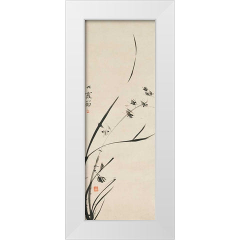 Orchids  White Modern Wood Framed Art Print by Anonymous