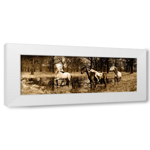 Spirits of the Woods White Modern Wood Framed Art Print by Moreau, Marc