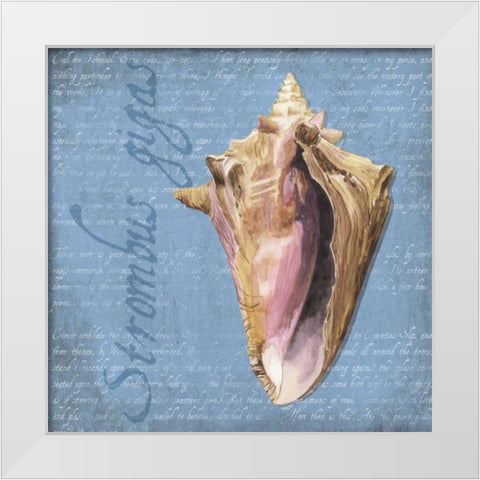 Oceanum Shells Blue I White Modern Wood Framed Art Print by Reed, Tara
