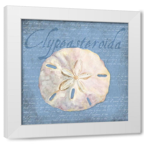 Oceanum Shells Blue IV White Modern Wood Framed Art Print by Reed, Tara