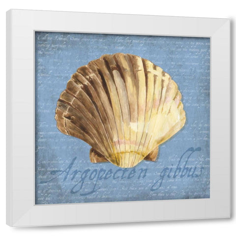 Oceanum Shells Blue V White Modern Wood Framed Art Print by Reed, Tara