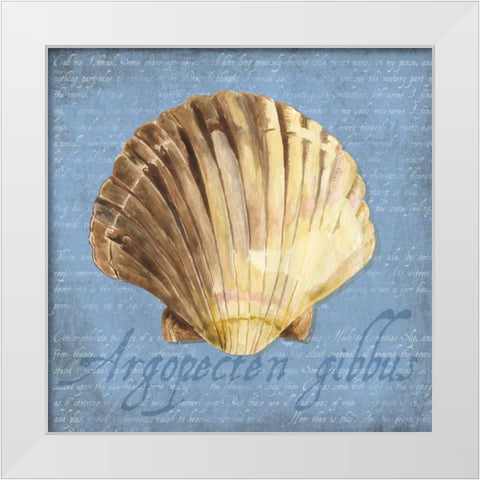 Oceanum Shells Blue V White Modern Wood Framed Art Print by Reed, Tara
