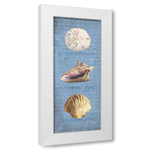 Oceanum Shell Panel Blue I White Modern Wood Framed Art Print by Reed, Tara