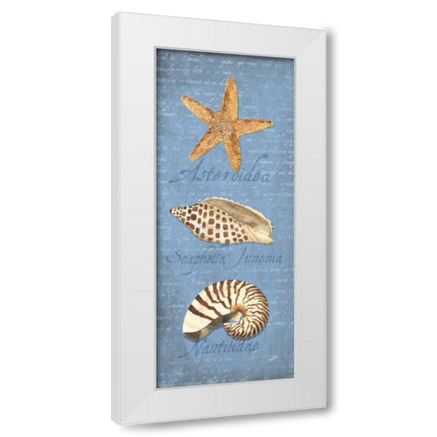 Oceanum Shell Panel Blue II White Modern Wood Framed Art Print by Reed, Tara