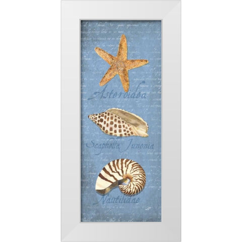 Oceanum Shell Panel Blue II White Modern Wood Framed Art Print by Reed, Tara