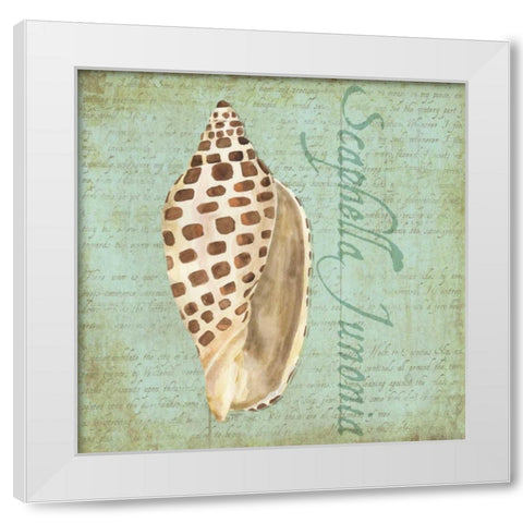 Oceanum Shells Green II White Modern Wood Framed Art Print by Reed, Tara