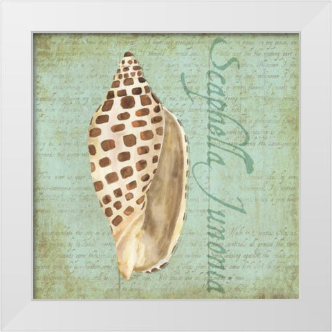 Oceanum Shells Green II White Modern Wood Framed Art Print by Reed, Tara