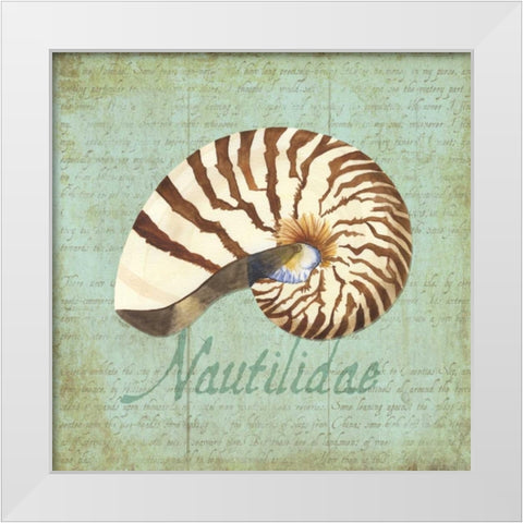Oceanum Shells Green III White Modern Wood Framed Art Print by Reed, Tara