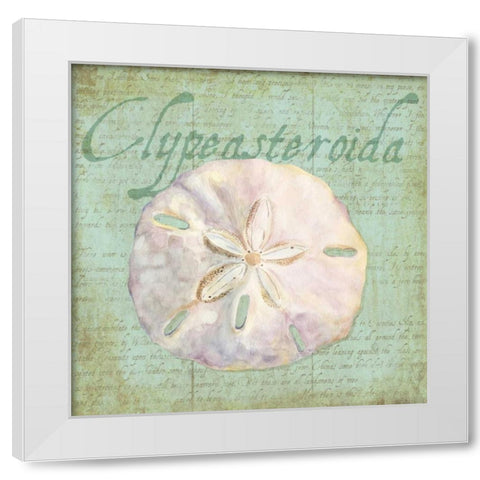 Oceanum Shells Green IV White Modern Wood Framed Art Print by Reed, Tara
