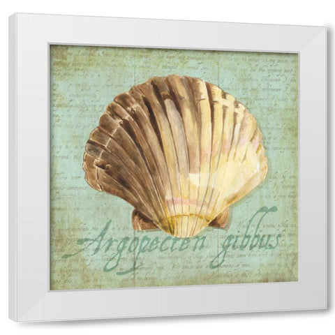 Oceanum Shells Green V White Modern Wood Framed Art Print by Reed, Tara