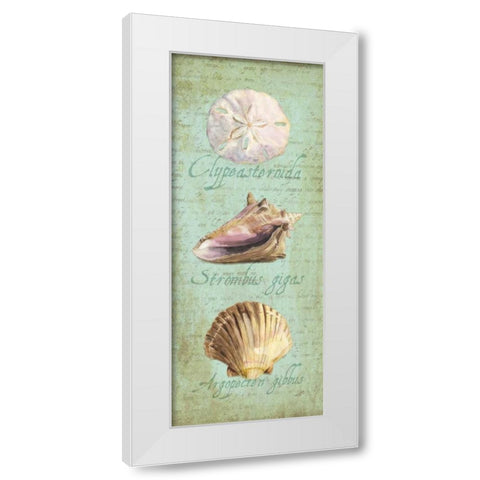 Oceanum Shell Panel Green I White Modern Wood Framed Art Print by Reed, Tara