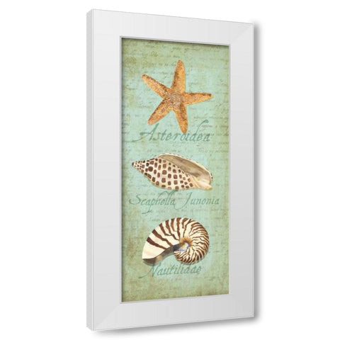 Oceanum Shell Panel Green II White Modern Wood Framed Art Print by Reed, Tara
