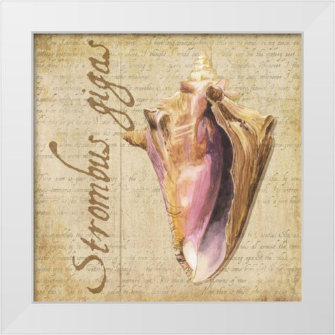 Oceanum Shells Beige I White Modern Wood Framed Art Print by Reed, Tara