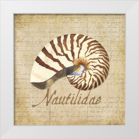 Oceanum Shells Beige III White Modern Wood Framed Art Print by Reed, Tara