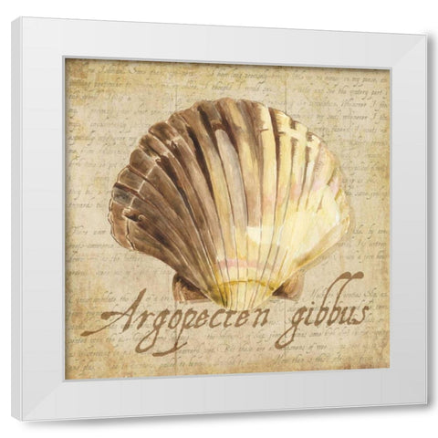 Oceanum Shells Beige V White Modern Wood Framed Art Print by Reed, Tara