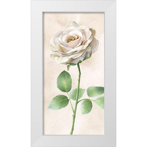Ivory  Roses panel I White Modern Wood Framed Art Print by Wilson, Kelsey