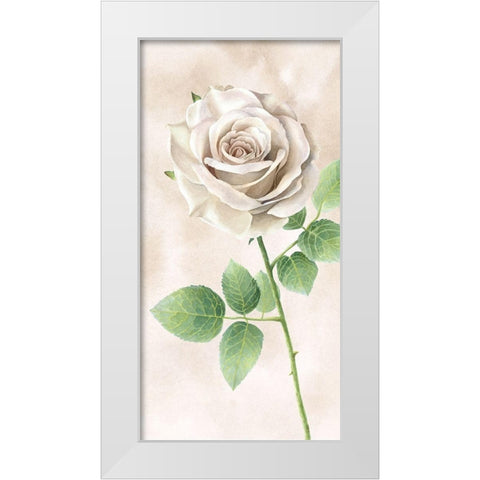 Ivory  Roses panel II White Modern Wood Framed Art Print by Wilson, Kelsey