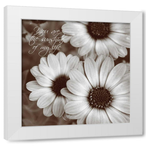 Sepia Blossoms I White Modern Wood Framed Art Print by Romita, Denise