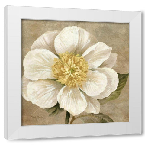 Up Close Cream Rose White Modern Wood Framed Art Print by Gladding, Pamela