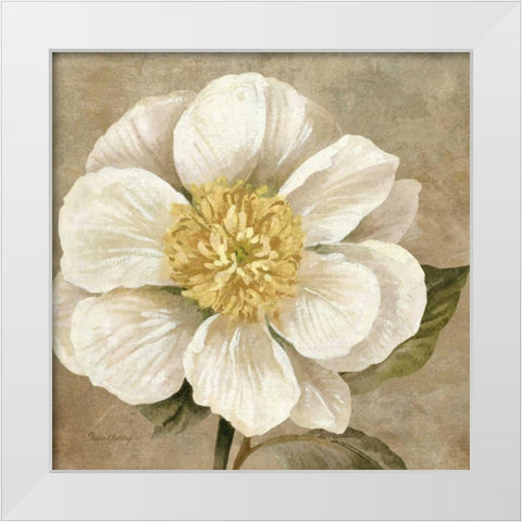Up Close Cream Rose White Modern Wood Framed Art Print by Gladding, Pamela