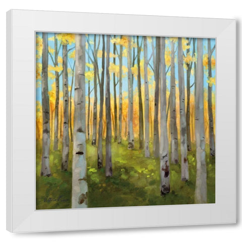 Birch Woods I White Modern Wood Framed Art Print by Milan, Vittorio