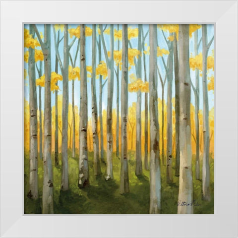 Birch Woods II White Modern Wood Framed Art Print by Milan, Vittorio