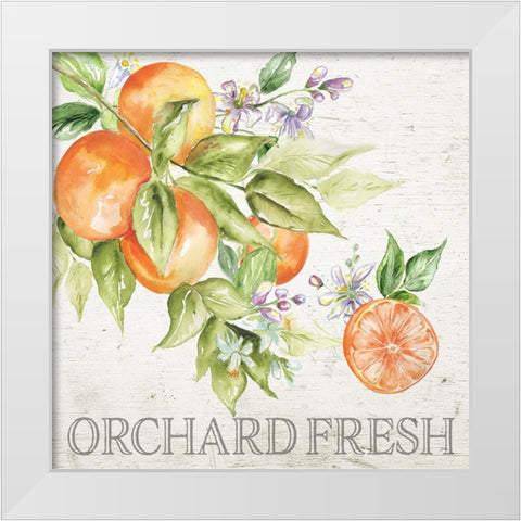 Lemon Grove IV White Modern Wood Framed Art Print by Tre Sorelle Studios