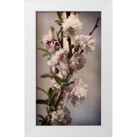 Blossoming Almond 1 White Modern Wood Framed Art Print by Greenwood, Julie