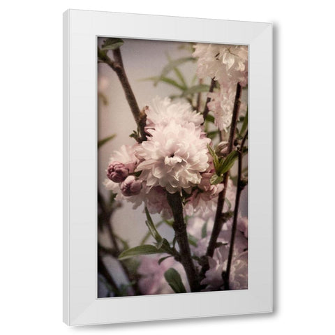 Blossoming Almond 2 White Modern Wood Framed Art Print by Greenwood, Julie