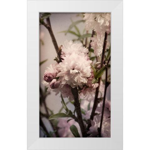 Blossoming Almond 2 White Modern Wood Framed Art Print by Greenwood, Julie
