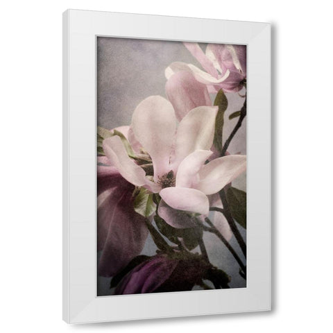 Magnolia Memories 1 White Modern Wood Framed Art Print by Greenwood, Julie