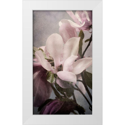Magnolia Memories 1 White Modern Wood Framed Art Print by Greenwood, Julie