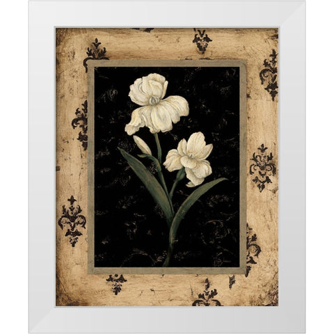 Silver Iris White Modern Wood Framed Art Print by Andrew, Regina
