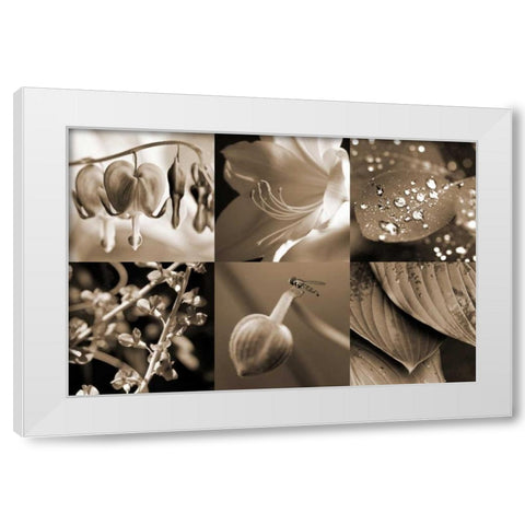Garden Path White Modern Wood Framed Art Print by Amber Light Gallery