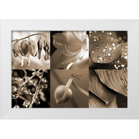 Garden Path White Modern Wood Framed Art Print by Amber Light Gallery