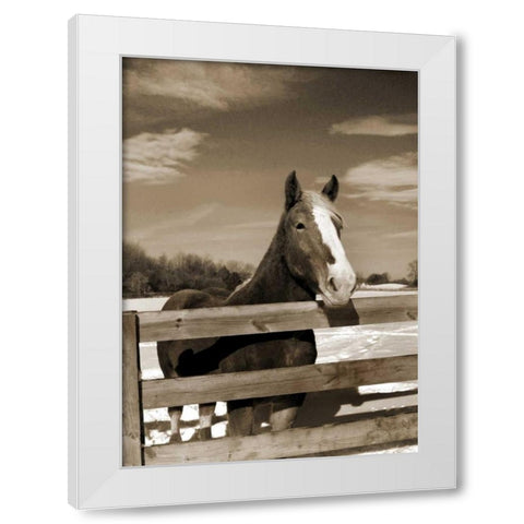 At the Ranch White Modern Wood Framed Art Print by Amber Light Gallery