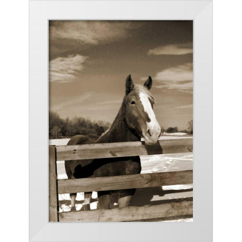 At the Ranch White Modern Wood Framed Art Print by Amber Light Gallery