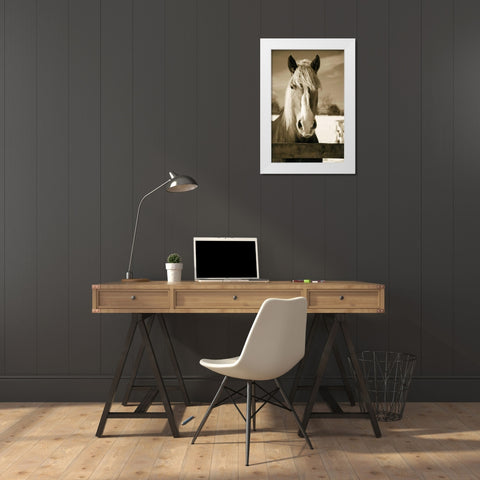 At the Correl White Modern Wood Framed Art Print by Amber Light Gallery