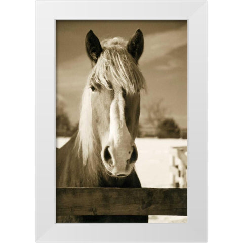 At the Correl White Modern Wood Framed Art Print by Amber Light Gallery
