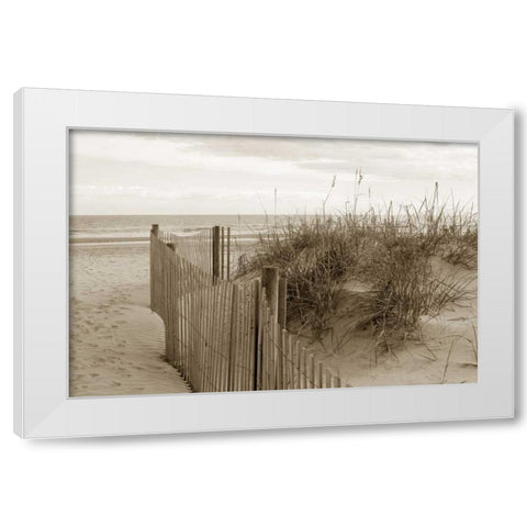 In the Dunes 2 White Modern Wood Framed Art Print by Amber Light Gallery