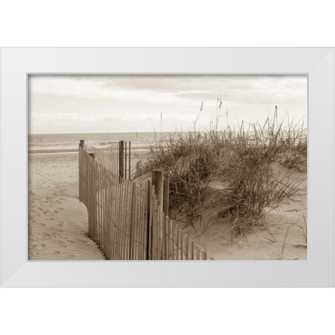 In the Dunes 2 White Modern Wood Framed Art Print by Amber Light Gallery