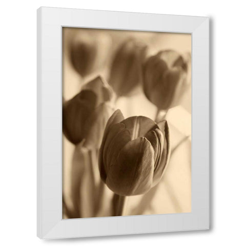 Illuminated Tulips 1 White Modern Wood Framed Art Print by Amber Light Gallery