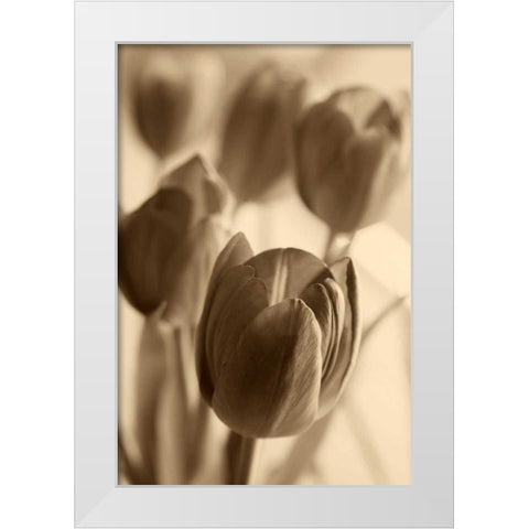 Illuminated Tulips 1 White Modern Wood Framed Art Print by Amber Light Gallery