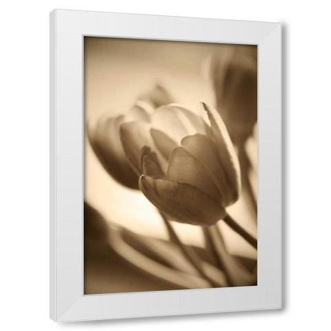 Illuminated Tulips 2 White Modern Wood Framed Art Print by Amber Light Gallery