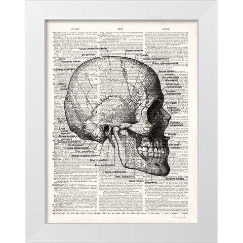 Vintage Anatomy Skull White Modern Wood Framed Art Print by James, Christopher