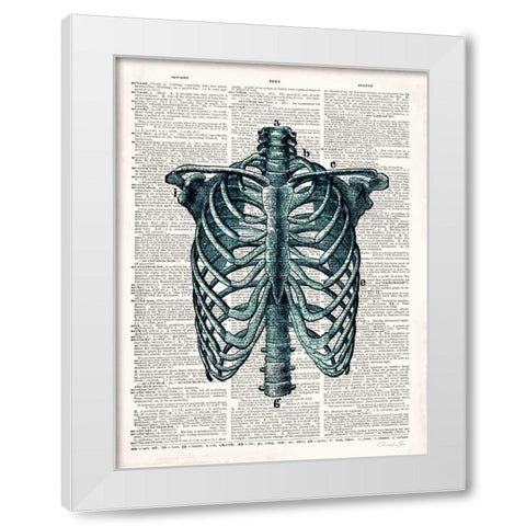 Vintage Anatomy Study White Modern Wood Framed Art Print by James, Christopher