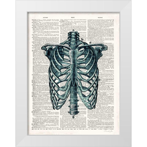 Vintage Anatomy Study White Modern Wood Framed Art Print by James, Christopher