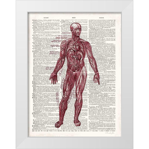 Vintage Anatomy Book  White Modern Wood Framed Art Print by James, Christopher