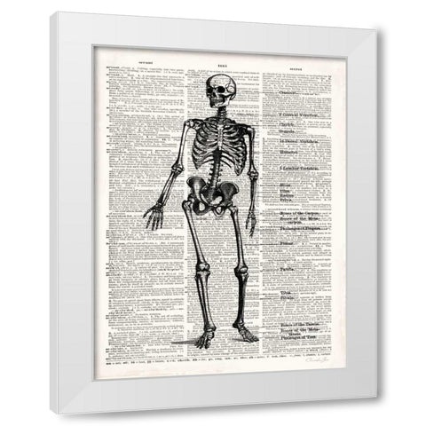 Vintage Anatomy Skeleton  White Modern Wood Framed Art Print by James, Christopher