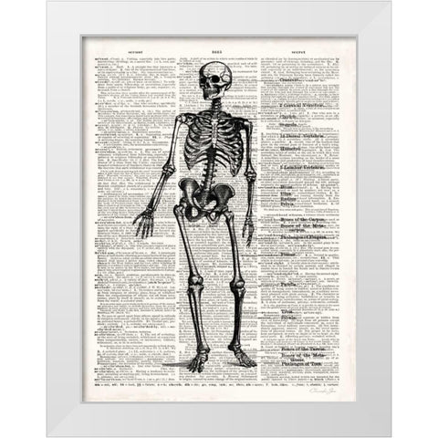 Vintage Anatomy Skeleton  White Modern Wood Framed Art Print by James, Christopher